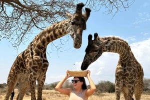 Arusha: Tagestour zur Serval Wildlife – Füttere Giraffen und Löwen