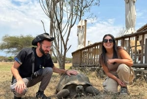 Arusha: Tagestour zur Serval Wildlife – Füttere Giraffen und Löwen