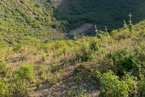 Arusha: Golden Hour Walk & Sunset Viewpoint Over Mount Meru