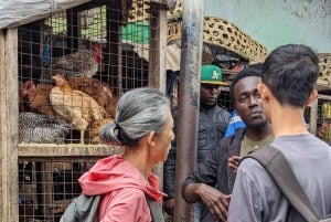 Visite guidée de la ville d'Arusha Culture, mode de vie et histoire