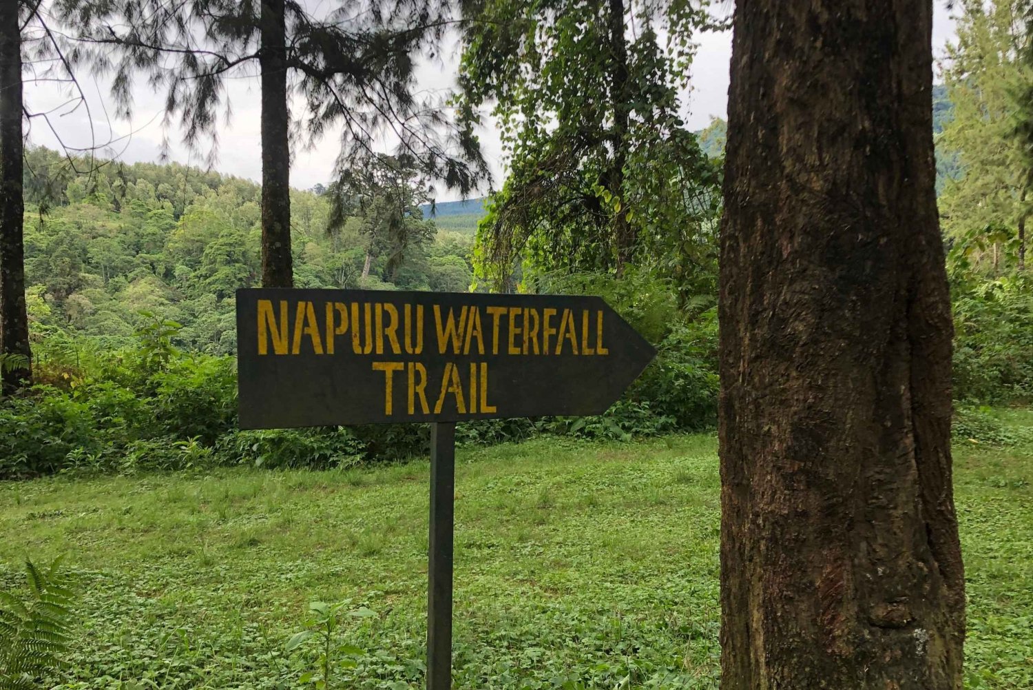 Arusha: Napurun vesiputoukset Opastettu patikointi