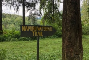 Arusha: escursione guidata alle cascate Napuru