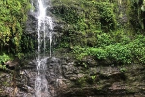 Arusha: escursione guidata alle cascate Napuru