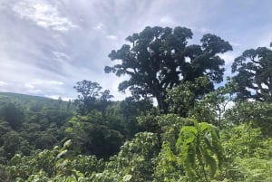 Arusha: escursione guidata alle cascate Napuru