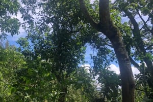 Arusha: escursione guidata alle cascate Napuru