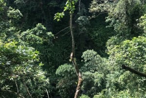 Arusha: escursione guidata alle cascate Napuru