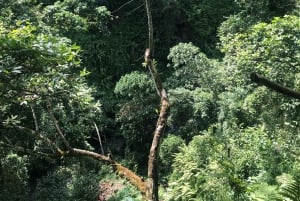 Arusha: escursione guidata alle cascate Napuru