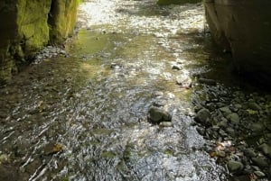 Arusha: escursione guidata alle cascate Napuru