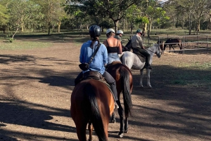 Guidet ridetur i Arusha