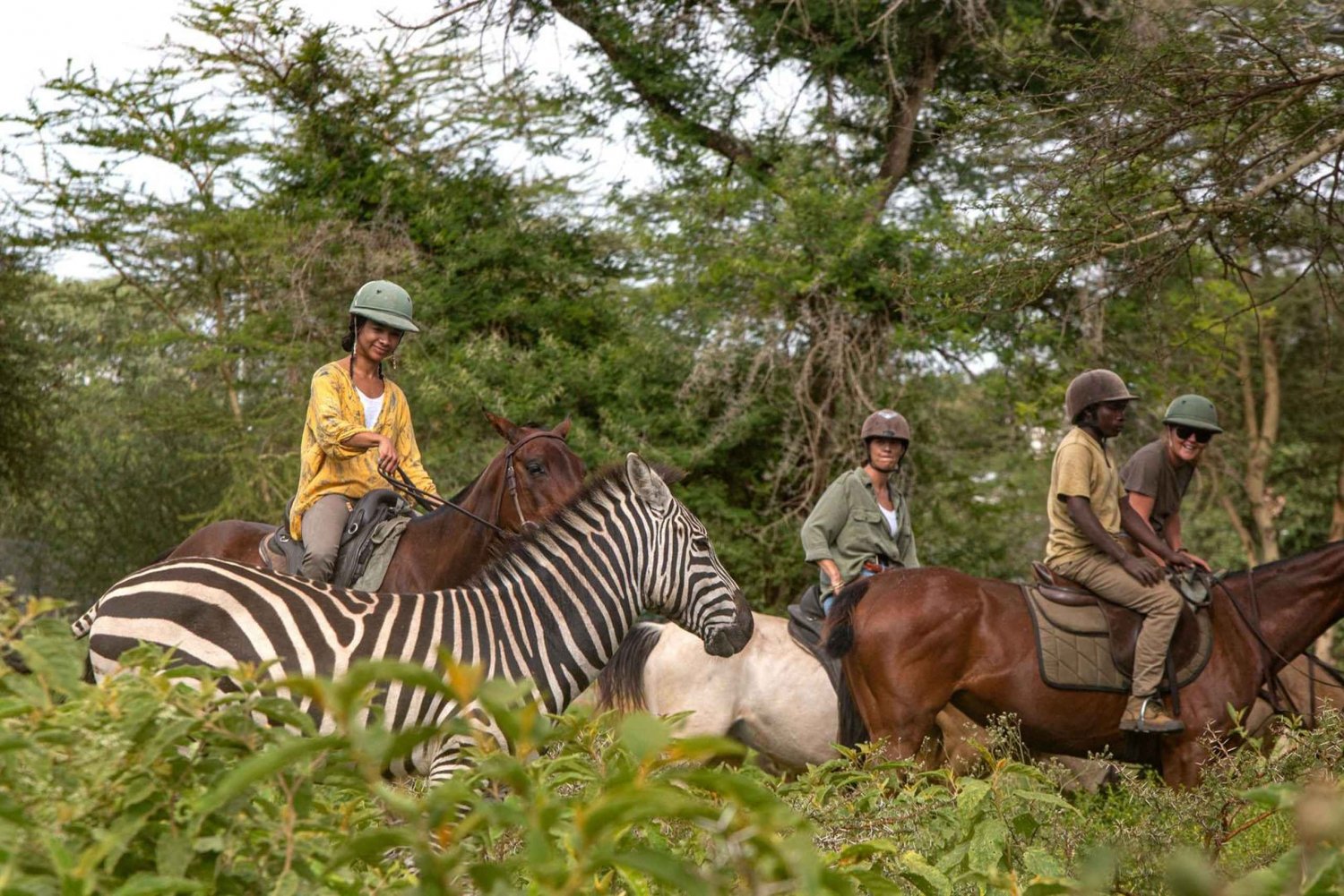 Arusha: Horseback riding and a sundowner