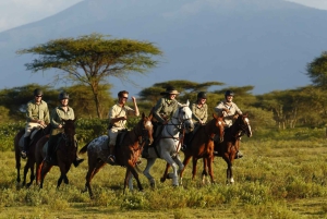 Arusha: Ridning på safari i Dolly Estate