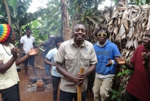 Arusha: wycieczka do gorących źródeł, wodospadu i plantacji kawy