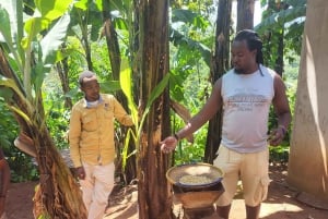 Arusha: wycieczka do gorących źródeł, wodospadu i plantacji kawy