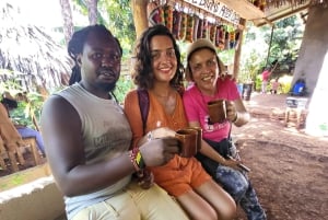 Arusha: wycieczka do gorących źródeł, wodospadu i plantacji kawy