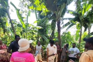 Arusha: wycieczka do gorących źródeł, wodospadu i plantacji kawy