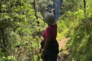 Arusha: wycieczka do gorących źródeł, wodospadu i plantacji kawy