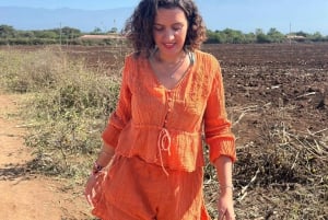 Arusha: wycieczka do gorących źródeł, wodospadu i plantacji kawy