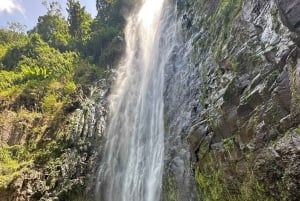 Arusha: wycieczka do gorących źródeł, wodospadu i plantacji kawy