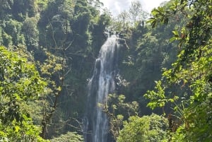 Arusha: wycieczka do gorących źródeł, wodospadu i plantacji kawy