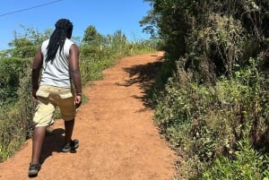 Arusha: wycieczka do gorących źródeł, wodospadu i plantacji kawy