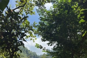 Arusha: wycieczka do gorących źródeł, wodospadu i plantacji kawy