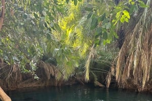 Arusha: wycieczka do gorących źródeł, wodospadu i plantacji kawy