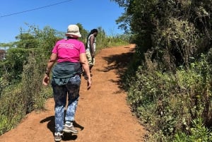 Arusha: wycieczka do gorących źródeł, wodospadu i plantacji kawy