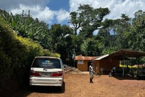 Arusha: wycieczka do gorących źródeł, wodospadu i plantacji kawy