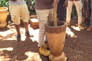 Arusha: wycieczka do gorących źródeł, wodospadu i plantacji kawy