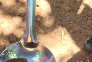 Arusha: wycieczka do gorących źródeł, wodospadu i plantacji kawy