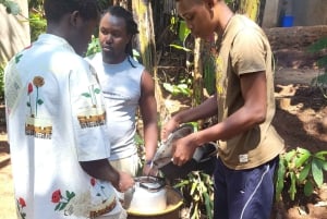 Arusha: wycieczka do gorących źródeł, wodospadu i plantacji kawy