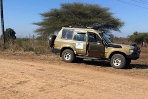 Arusha: wycieczka do gorących źródeł, wodospadu i plantacji kawy