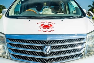 Arusha: wycieczka do gorących źródeł, wodospadu i plantacji kawy