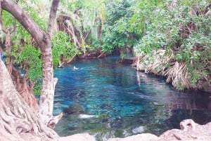 Arusha : excursion d'une journée aux sources chaudes de Kikuletwa avec déjeuner