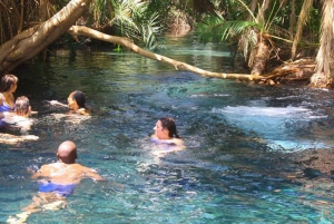 Arusha : excursion d'une journée aux sources chaudes de Kikuletwa avec déjeuner