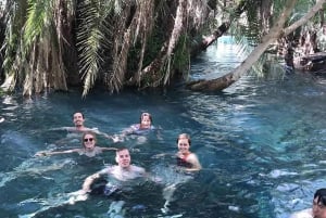 Arusha : excursion d'une journée aux sources chaudes de Kikuletwa avec déjeuner