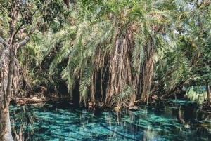 アルーシャ：キクレツワ温泉日帰りツアー