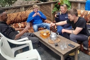 Arusha: wycieczka 1-dniowa na Kilimandżaro i gorące źródła