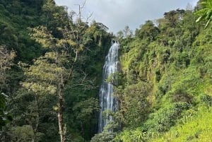 Arusha: wycieczka 1-dniowa na Kilimandżaro i gorące źródła