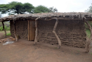 Arusha: Lake Eyasi, Datoga & Hadzabe Tribal Villages Tour