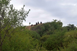 Arusha: Lake Eyasi, Datoga & Hadzabe Tribal Villages Tour