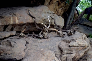 Arusha: Lake Eyasi, Datoga & Hadzabe Tribal Villages Tour