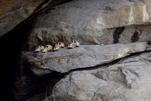 Arusha: Lake Eyasi, Datoga & Hadzabe Tribal Villages Tour