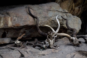 Arusha: Lake Eyasi, Datoga & Hadzabe Tribal Villages Tour