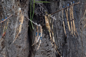 Arusha: Lake Eyasi, Datoga & Hadzabe Tribal Villages Tour