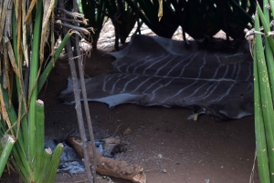 Arusha: Lake Eyasi, Datoga & Hadzabe Tribal Villages Tour