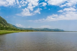 Arusha: Lake Manyara National Park -päiväretki lounaalla