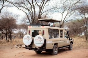 Arusha: Manyara-järven kansallispuiston päiväkierros noudolla