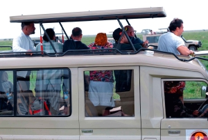 Arusha: Viagem de 1 dia ao Parque Nacional do Lago Manyara