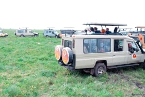 Arusha: Wycieczka 1-dniowa do Parku Narodowego Jeziora Manyara